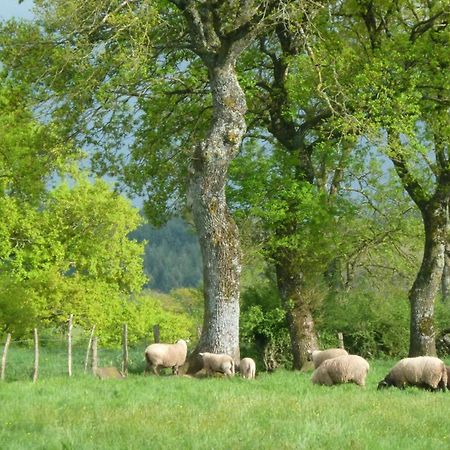 Maison De Campagne Ideale Pour Familles, Cavaliers, Animaux Acceptes, Avec Jardin Clos Et Tout Equipe. - Fr-1-489-172 Villa Barrais-Bussolles Eksteriør bilde